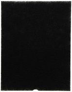 Coway AP-1012GH Carbon Filter