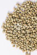 Triple-Picked Tanzania Ruvuma Peaberry Washed Unroasted Green Coffee Beans (5 LB)