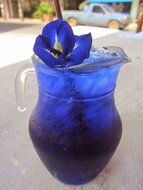 THOBAL Herbal Dried Butterfly pea Flowers Herb Tea Lusciously Tea Blue Tea butterfly pea, blue pea Aprajita Cordofan... N2