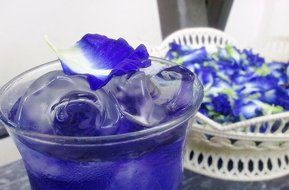 THOBAL Herbal Dried Butterfly pea Flowers Herb Tea Lusciously Tea Blue Tea butterfly pea, blue pea Aprajita Cordofan... N4