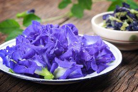 THOBAL Herbal Dried Butterfly pea Flowers Herb Tea Lusciously Tea Blue Tea butterfly pea, blue pea Aprajita Cordofan... N5
