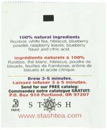 Stash Tea Ginger Peach Green Tea, 10 Count Tea Bags in Foil (Pack of 12) N22