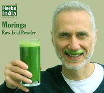Moringa Ginger Tea - Loose Leaves Tea (100 Gms) - All Natural - No Preservative - No Artificial Flavors - Rich... N8