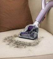 Shark Navigator Lift-Away Deluxe Bagless Upright Vacuum Cleaner | NV351 N3