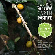 Tiny Footprint Coffee Organic Medium Roast Whole Bean Coffee, 3-Pound Bag N3