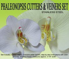 Phaleonopsis (Moth) Orchid Gumpaste Cutter