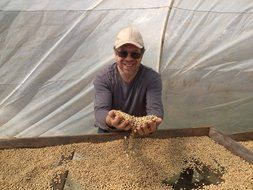 Costa Rica Dota Estate, Green Unroasted Coffee Beans, 1lb N3