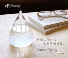 Tempo Drop Designer Weather Forecast Storm Glass Very Stylisjh N6