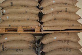 BrewBros. Whole Bean Arabica Gourmet Coffee Beans. Single Origin, Organically Farmed, Shade Grown, Micro Roasted... N6
