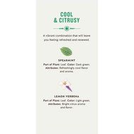 Celestial Organics Herbal Tea, Digestion, 20 Count (Pack of 6) N23
