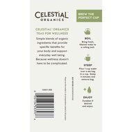 Celestial Organics Herbal Tea, Digestion, 20 Count (Pack of 6) N42