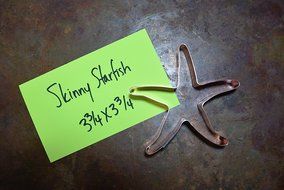 Skinny Starfish Cookie Cutter N2