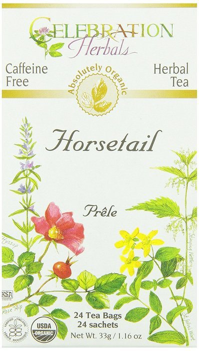 Celebration Herbals Organic Horsetail Tea Caffeine Free -- 24 Herbal Tea Bags