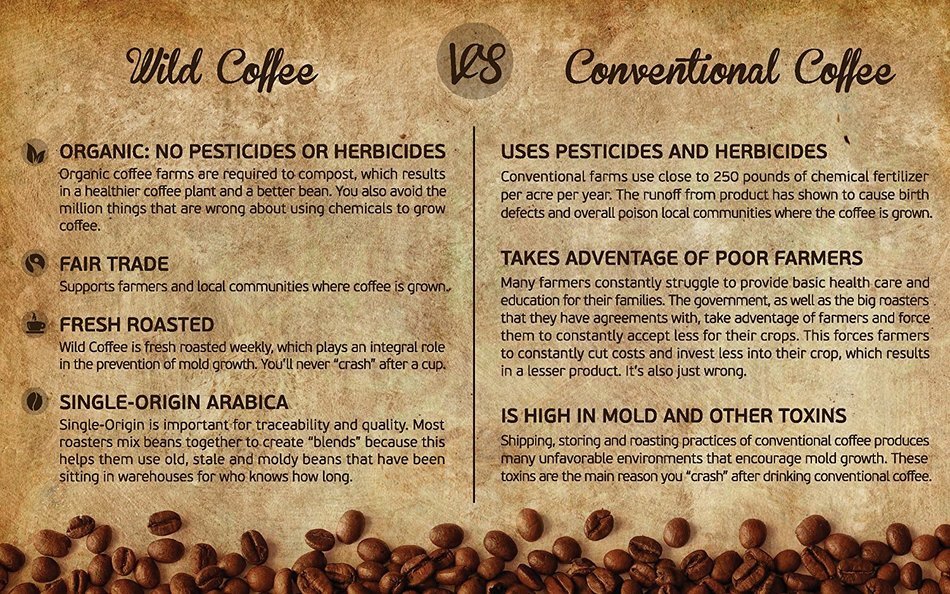 Wild Coffee, Whole Bean Organic Coffee, Fair Trade, Single-Origin, 100% Arabica, Austin Fresh Roasted (Peru Light... N42