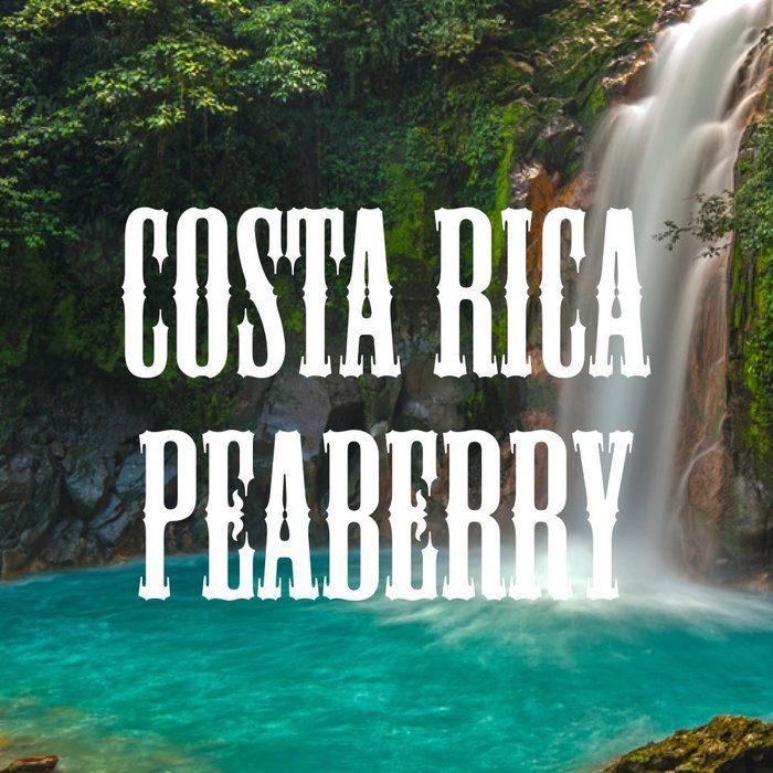 Costa Rica Peaberry Coffee, Whole Bean, 16ounce N2 free image download