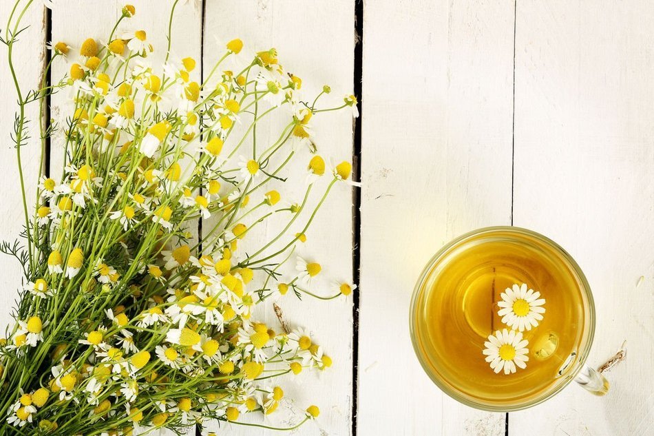 Sweet Chamomile Loose Leaf Herbal Tea, Organic Whole Chamomile Flowers, Wild Tea #10 by Wild Food (2 ounce) N9