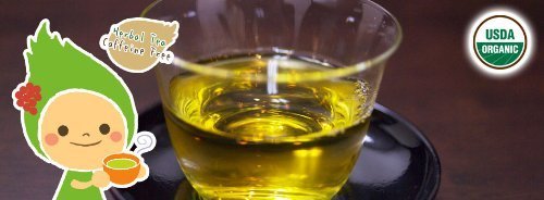 USDA Organic White Mulberry Leaf Tea (15 Teabags) | Blood Sugar Balance | Leaves Can Help Fight Cholesterol |... N2