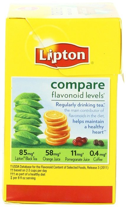 Lipton Black Tea Pyramids, Bavarian Wild Berry 20 ct N2