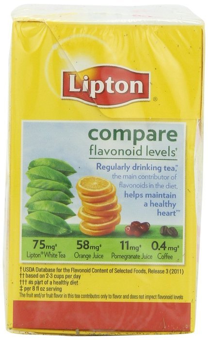 Lipton Black Tea Pyramids, Bavarian Wild Berry 20 ct N9