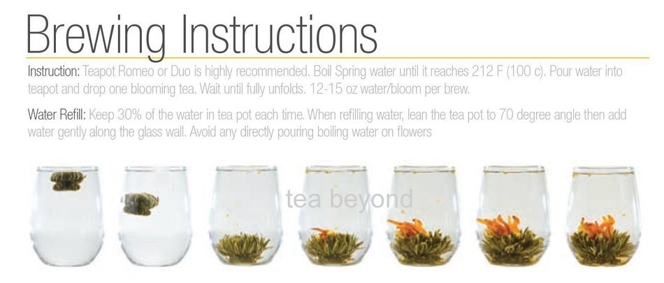 Tea Beyond FLS-3SET-BLF2100 12-Pack Fab Flowering Blooms Tea N2