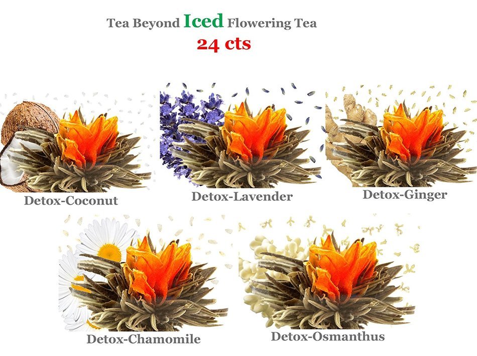 Tea Beyond FLS-3SET-BLF2100 12-Pack Fab Flowering Blooms Tea N8
