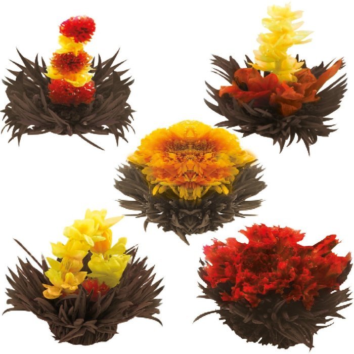 Tea Beyond FLS-3SET-BLF2100 12-Pack Fab Flowering Blooms Tea N14