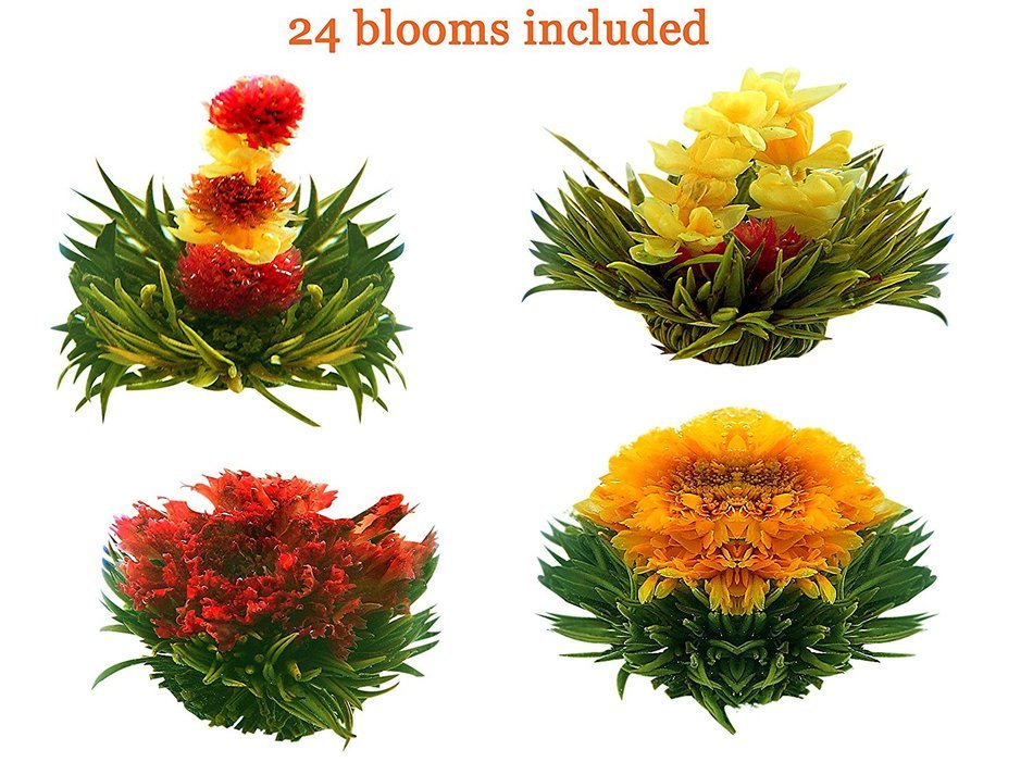Tea Beyond FLS-3SET-BLF2100 12-Pack Fab Flowering Blooms Tea N18