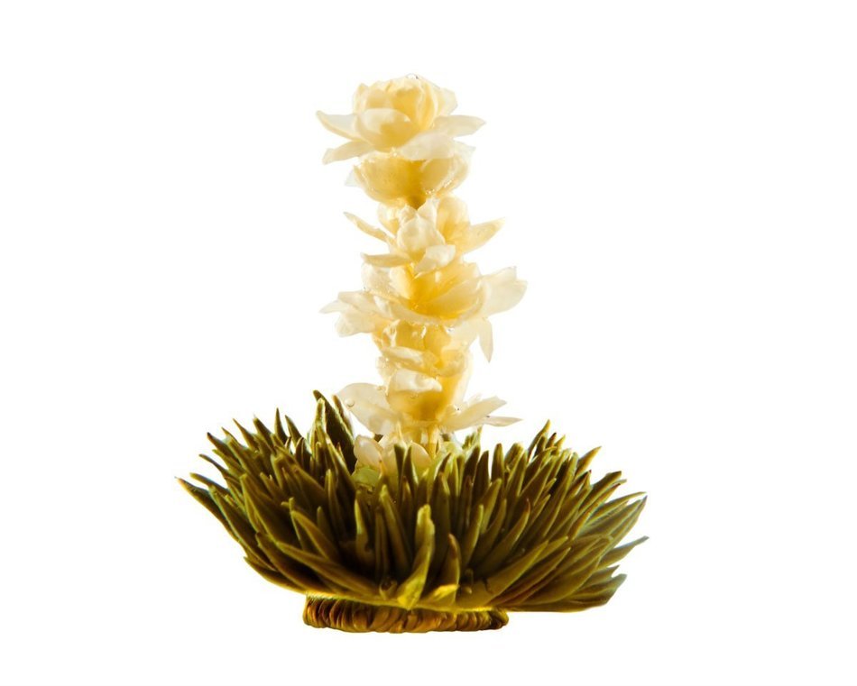 Tea Beyond FLS-3SET-BLF2100 12-Pack Fab Flowering Blooms Tea N19