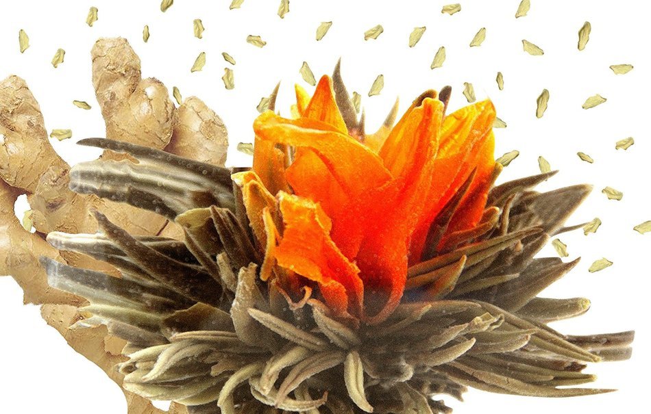 Tea Beyond FLS-3SET-BLF2100 12-Pack Fab Flowering Blooms Tea N25