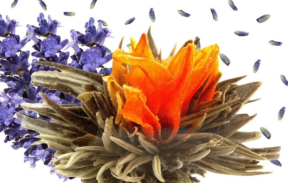 Tea Beyond FLS-3SET-BLF2100 12-Pack Fab Flowering Blooms Tea N26