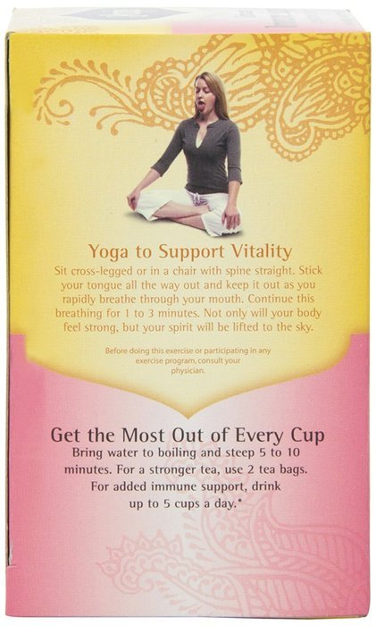 Yogi Teas Ginger, 16 Count (Pack of 6) N16