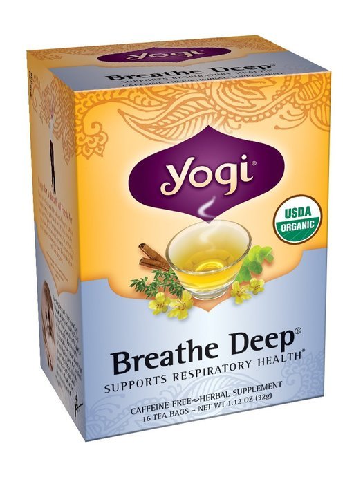 Yogi Teas Ginger, 16 Count (Pack of 6) N47
