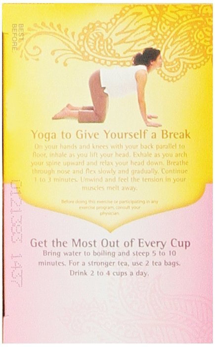 Yogi Teas Ginger, 16 Count (Pack of 6) N123