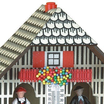 German Black Forest weather house TU 801 N2