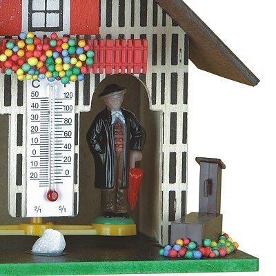 German Black Forest weather house TU 801 N4