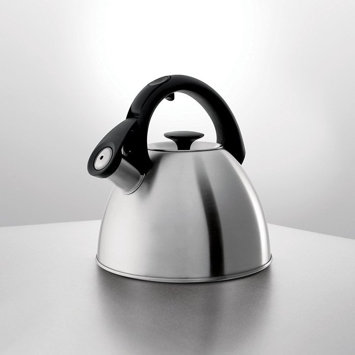 OXO Good Grips Click Click Tea Kettle, Brushed Stainless N4