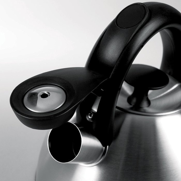 OXO Good Grips Click Click Tea Kettle, Brushed Stainless N6