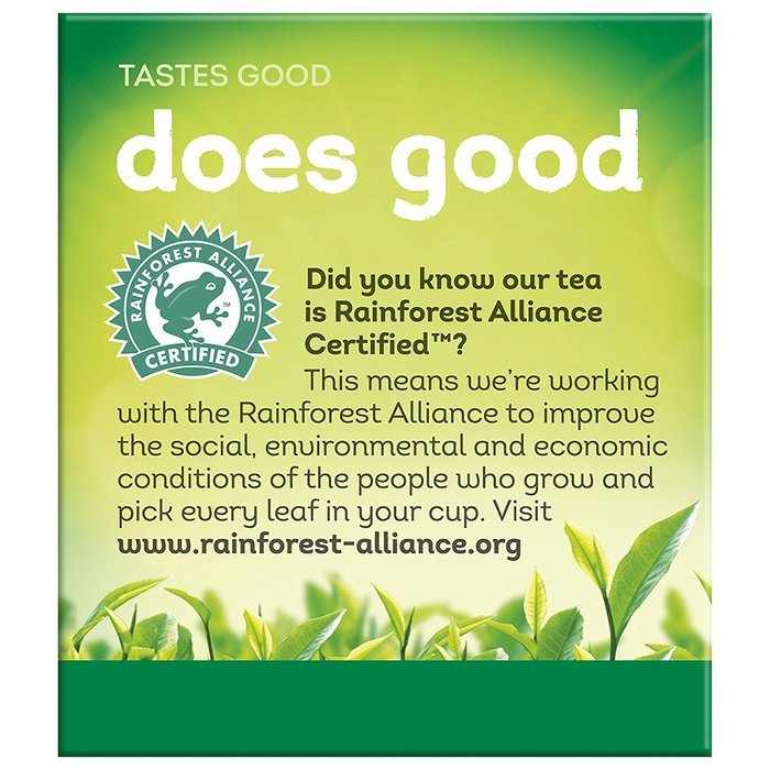 Lipton Green Tea Bags, Decaffeinated 20 ct N9