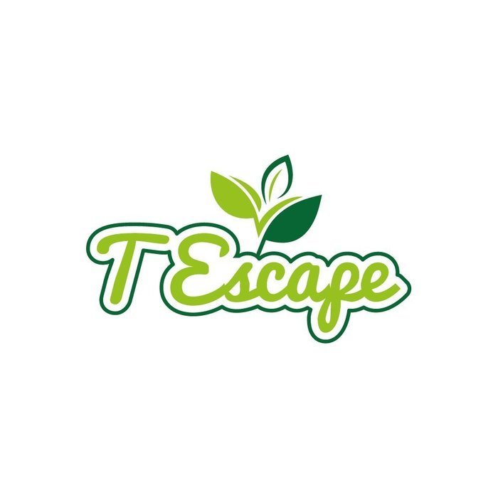 BUY 1 Get 1 FREE - Buy Skinny Mint 14 DAY TEATOX & GET 14 NIGHT CLEANSE TEATOX FREE - Pure Herbs only- Cleans... N3