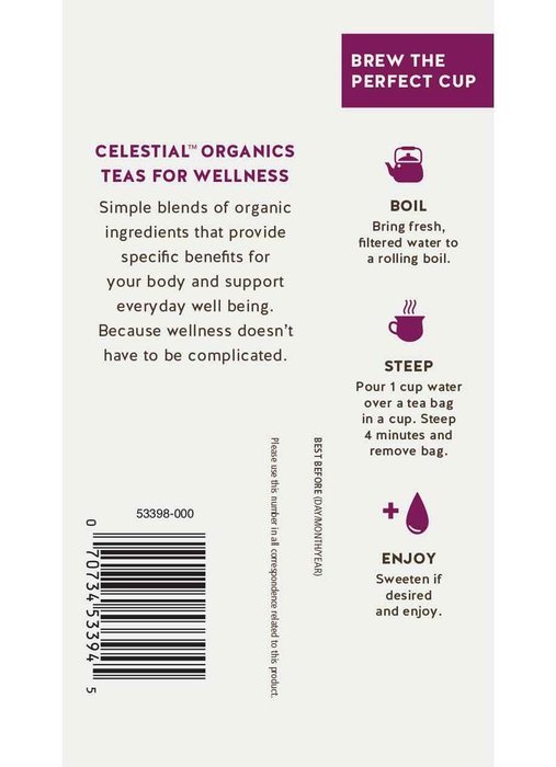 Celestial Organics Herbal Tea, Digestion, 20 Count (Pack of 6) N32