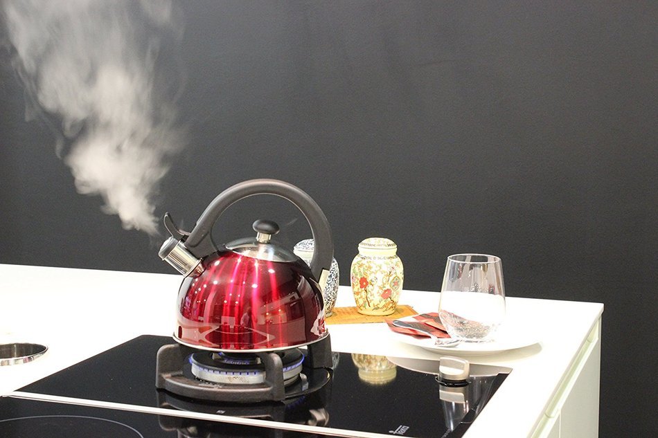 Magefesa 2.1-Quart Sabal Stainless Steel Tea Kettle, Red N6
