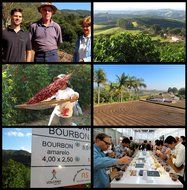 Brazil Adrano Volcano Coffee, Green Unroasted Coffee Beans (1 LB) N2