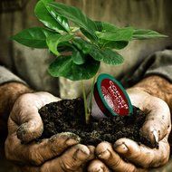 Copper Moon Coffee Fairtrade Organic Rain Forest Reserve Single Cup 100% Compostable, Dark Roast, 10 Count for... N3