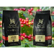 Whole Bean Coffee, 100 % Organic by Arise - Signature Medium Roast Blend - 12oz Bag - Colombian and Indonesian