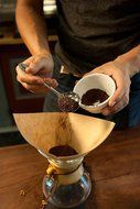 Whole Bean Coffee, 100 % Organic by Arise - Signature Medium Roast Blend - 12oz Bag - Colombian and Indonesian N2