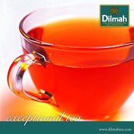 Dilmah, Premium, Ceylon Tea, Individually Paper Wrapped Teabags, 100-Count, in a display box (Pack of 2) N4