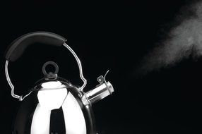 BergHOFF Whistling Kettle, Silver