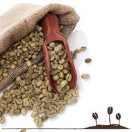 Organic Coffee Beans by Portland Roasting Company, French Roast Blend, USDA Certified Organic, Carbon Neutral... N6