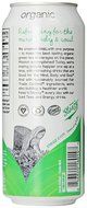 Steaz Iced Tea Can, Green Blueberry Pomegranate, Gluten Free, 16-ounces (Pack of12) N16