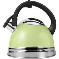 Wilton 2503-0213 Copco Stainless Steel Tea Kettle